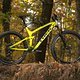 Das Fuel EX ist der Trailbike-Allrounder im Trek-Portfolio