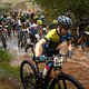 The leading riders make their way through a flooded road during stage 4 of the 2022 Absa Cape Epic Mountain Bike stage race from Elandskloof in Greyton to Elandskloof in Greyton, South Africa on the 23rd March 2022. Photo by Nick Muzik/Cape Epic
PLEA