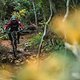 specialized-stumpjumper-action-6797