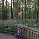 IMG 3136mi