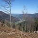 DSC00198
