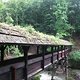 IMG 0016