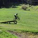 IMG 9740
