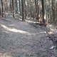 IMG 0960Large 1272301203