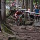 IMG 1231