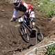 IMG 3018