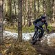 Mit dem CW Zero One stellt sich sehr schnell das berühmte Gefühl ein, “im Bike zu sitzen”.