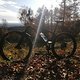 Aachener Wald nahe Bouy