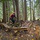 BC Whistler - Bart&#039;s Dark Trail