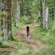 Endlose Forststraßen und steile Rampen statt gemeinsamer Trailspaß