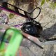 L1000029 (MTB-News)
