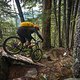 BC Squamish - Pleasure Trail