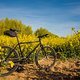 Bontrager Singlespeed 20250429 02