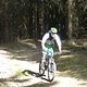 Biken im Arnsberger Wald