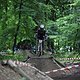 IMG 5311