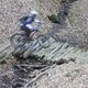 110503 DSCF5620