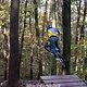IMG 2455