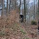IMG 5249