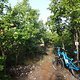TransVerdon2016 (229)