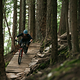Norco Fluid FS Riding Support 03