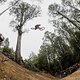 Laurie Greenland performs during Red Bull Hardline  in Maydena Bike Park,  Australia on February 23,  2024 // Graeme Murray / Red Bull Content Pool // SI202402230530 // Usage for editorial use only //