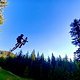 Crabapple Hits - Whistler