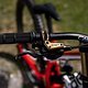 MTBNews