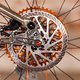 Scar Cycles-19