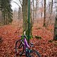 Winterpokal-Aktivität