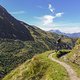 IMG 4165