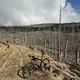 Sonntagsrunde, einmal grob um den Berg