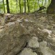 Gratis Wurzeltrail