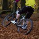 IMG 2869