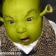 shrek baby