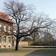 P1020903k