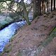 IMG 3622