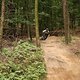 IMG 0122