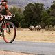 Fairy Glen Reserve - Biker in Einklang mit der Fauna Südafrikas