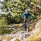 27,5&quot;-All-Mountainbikes sind nicht tot