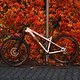 Herbstfarben 3