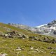 IMG 3581