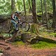 BC Squamish - Cortes Planks