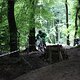 IMG 5231