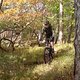 DSC00740