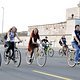 CriticalMass 1408 3473b