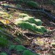 DSC02962