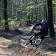 DSC00591
