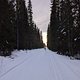 Winterpokal-Aktivität