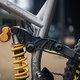 Sea Otter Classic Tag1-98