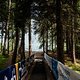 Diese kurze Holzbrücke dürfte in Val di Sole so ziemlich die einzige Möglichkeit sein, im Rennlauf mal kurz die Hände auszuschütteln.